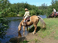 Horse back Trail Rides